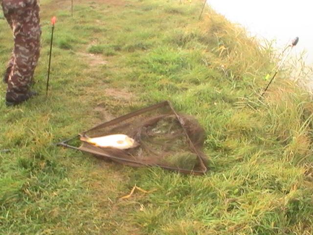 12.10.2013  - pic6100.JPG